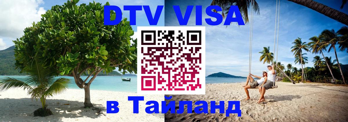 Оформление DTV визы под ключ: стоимость и тарифы, только загранпаспорт - Мытищи  06.12.2025 